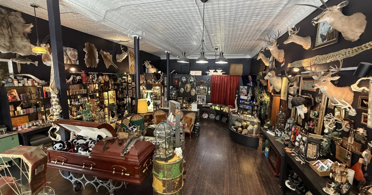 Downtown Oddity Parlor