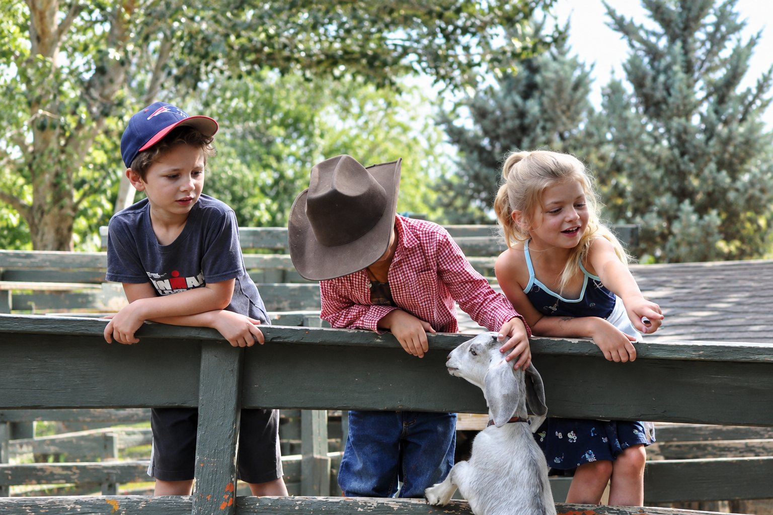 Children enjoying Sunflower Farm in Longmont, Colorado
